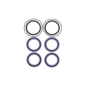 Kit cojinetes y retenes buje trasero ALLBALLS 25-1534 Suzuki LTR 450