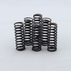 Kit muelles embrague 18483