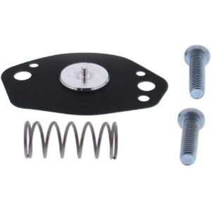 Kit reparacion membrana carburador ALLBALLS 46-4014 LTZ 400 03-08 DRZ