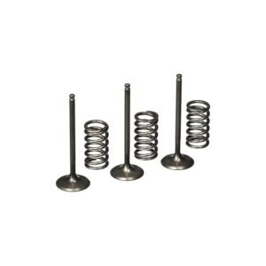 Kit Valvulas YFZ 450 admisión