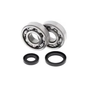 Kit cojinetes y retenes cigueñal ALLBALLS 24-1016 Suzuki RM125 89-08