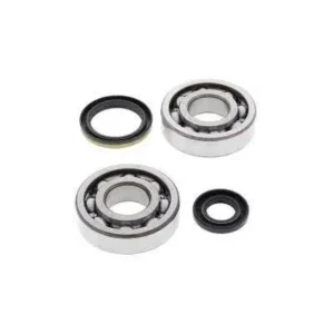 Kit cojinetes y retenes cigueñal ALLBALLS 24-1020 Suzuki RM250 94-95